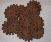 AS4E - 32mm Chocolate Daisy 